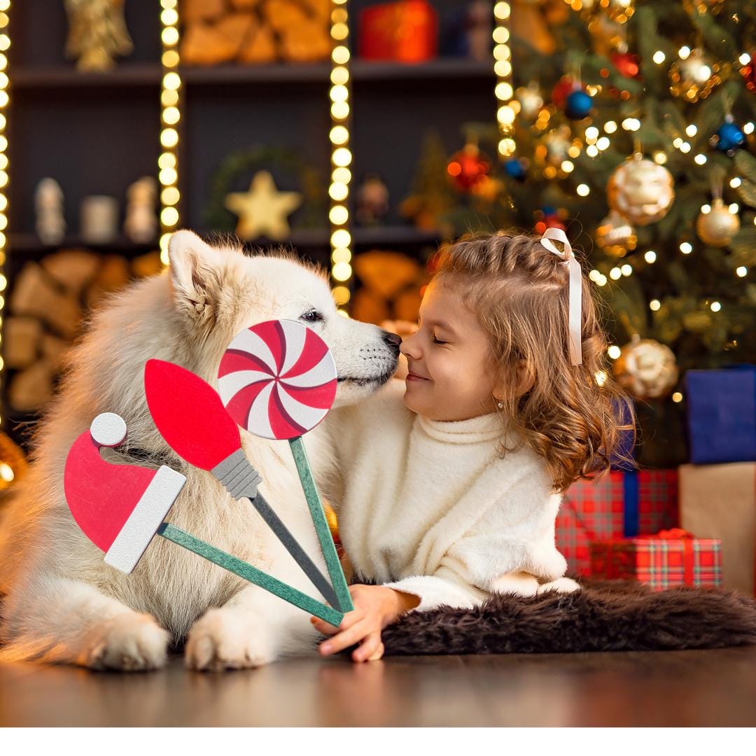 Poly Peppermint Christmas Yard Stake Decoration for Home, School, Indoor/Outdoor. Perfect Winter decoration for Santa and Christmas lovers!